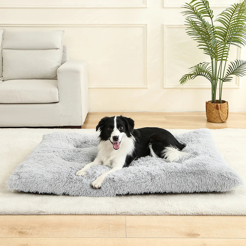 Soft Plush Pet Bed for Dogs & Cats