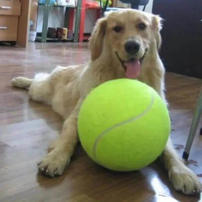 Giant Inflatable Tennis Ball for Dogs with Pump
