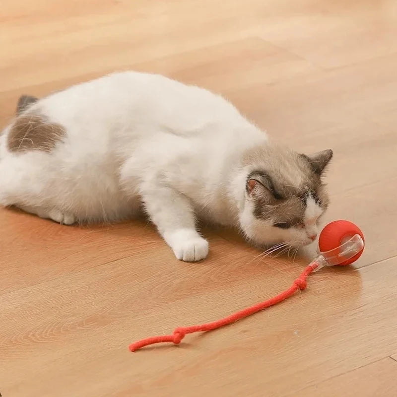 Rechargeable Smart Interactive Cat Ball Toy