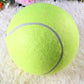 Giant Inflatable Tennis Ball for Dogs with Pump