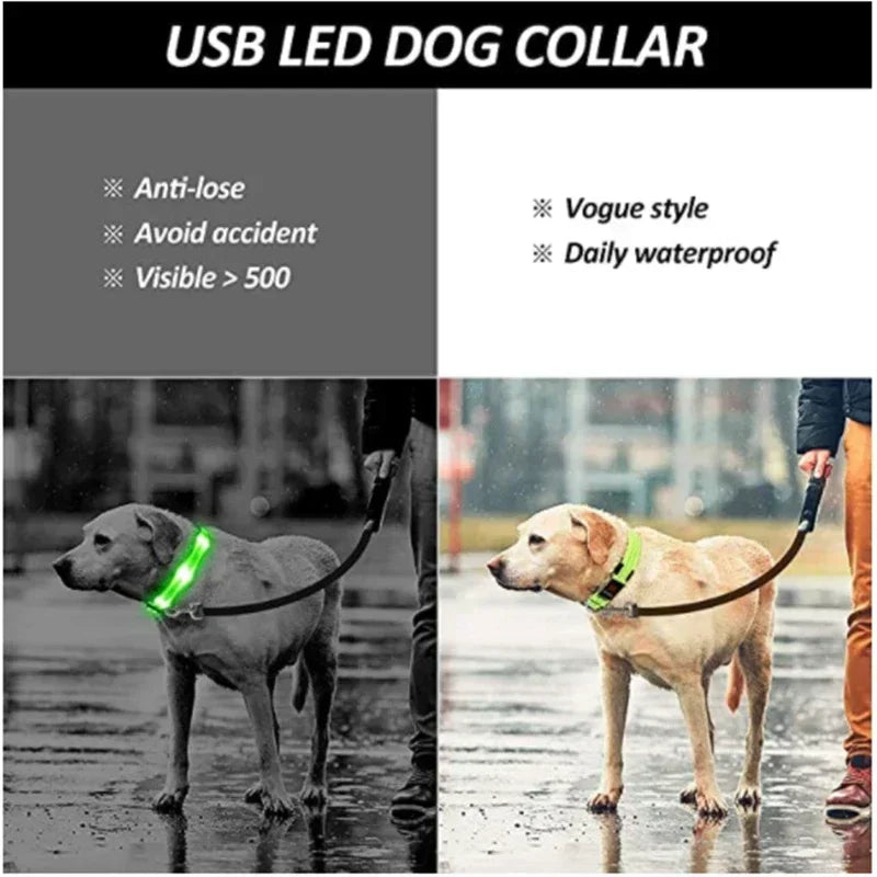 LED Glowing Dog Collar – Adjustable Flashing Rechargeable Light-Up Collar