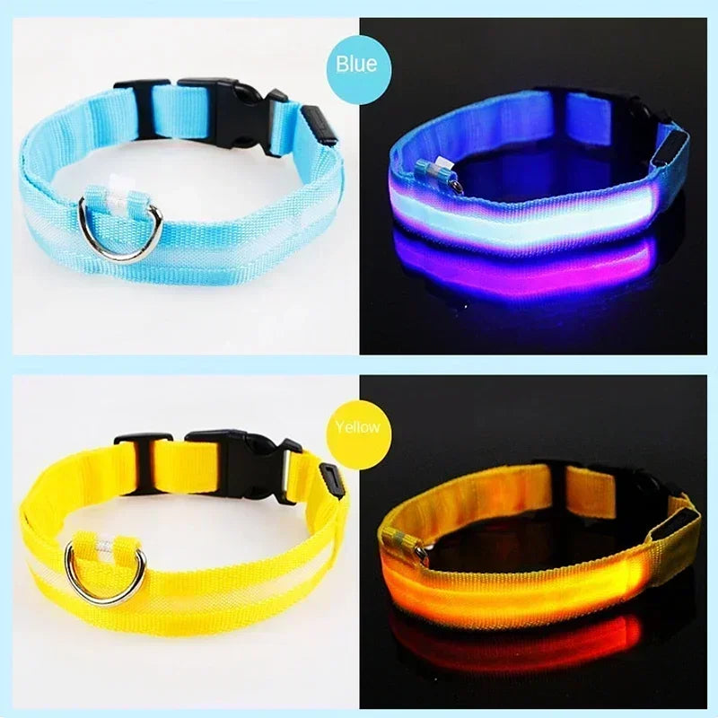 LED Glowing Dog Collar – Adjustable Flashing Rechargeable Light-Up Collar