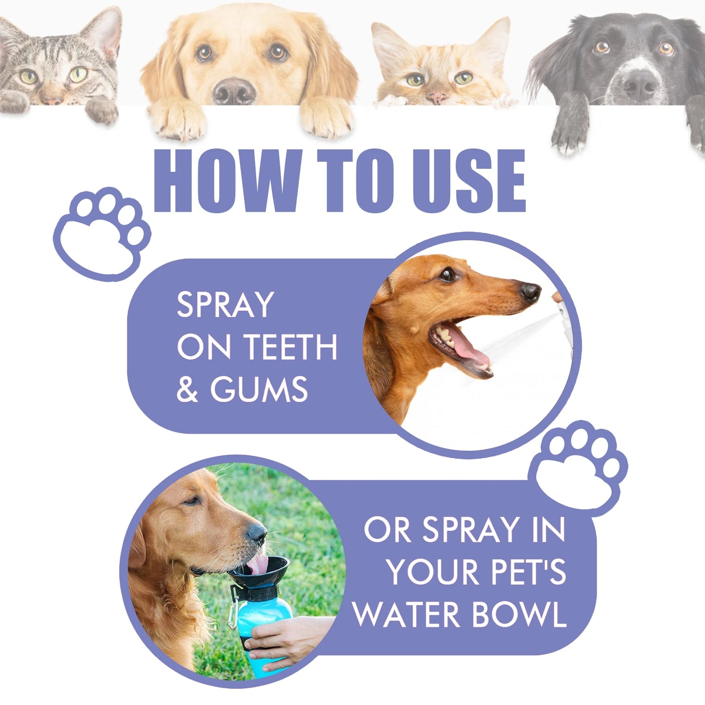 Pet Dental Spray for Dogs & Cats 30ml