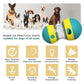 Interactive Dog Food Ball Toy
