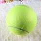 Giant Inflatable Tennis Ball for Dogs with Pump