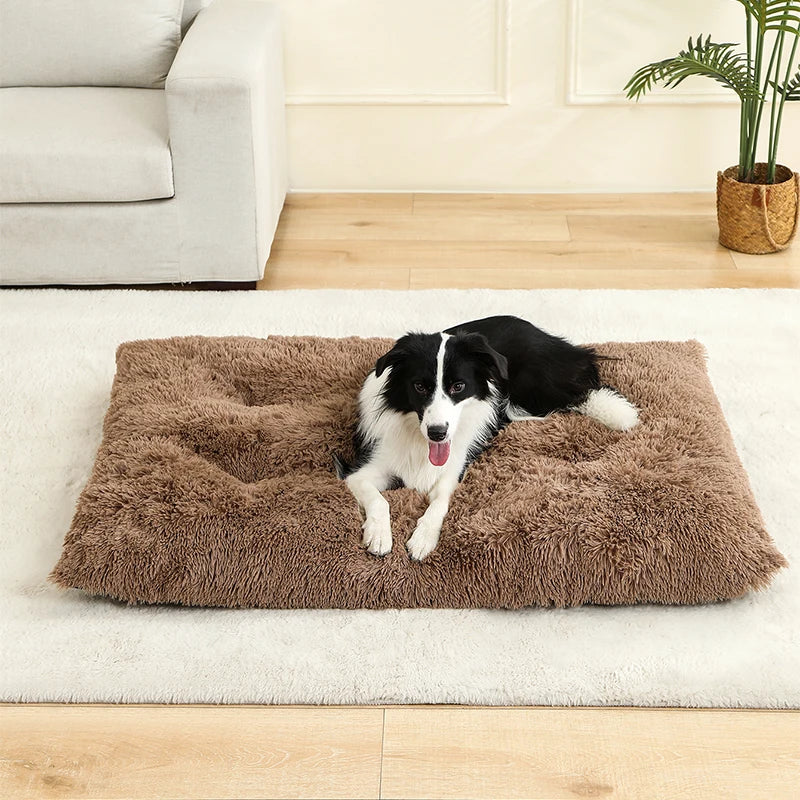 Soft Plush Pet Bed for Dogs & Cats