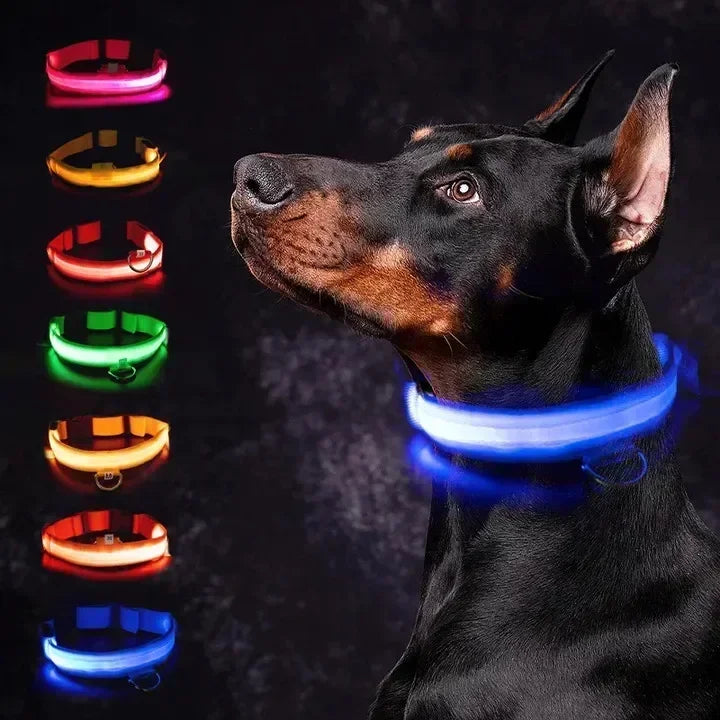 LED Glowing Dog Collar – Adjustable Flashing Rechargeable Light-Up Collar