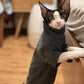 Sphynx Cat Soft Cotton Winter Outfit