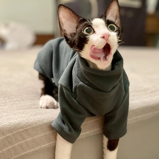 Sphynx Cat Soft Cotton Winter Outfit