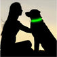 LED Glowing Dog Collar – Adjustable Flashing Rechargeable Light-Up Collar