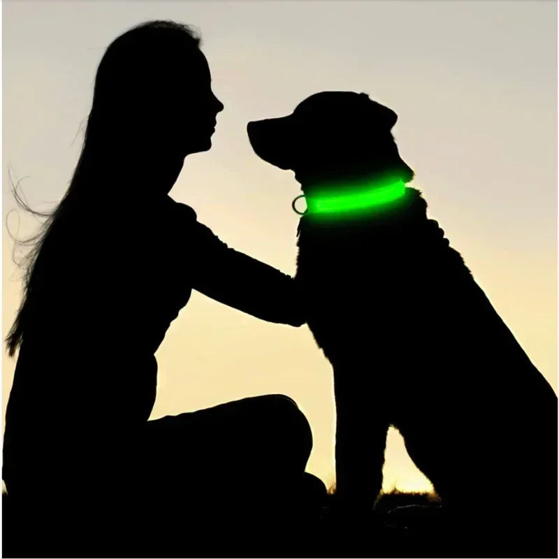 LED Glowing Dog Collar – Adjustable Flashing Rechargeable Light-Up Collar