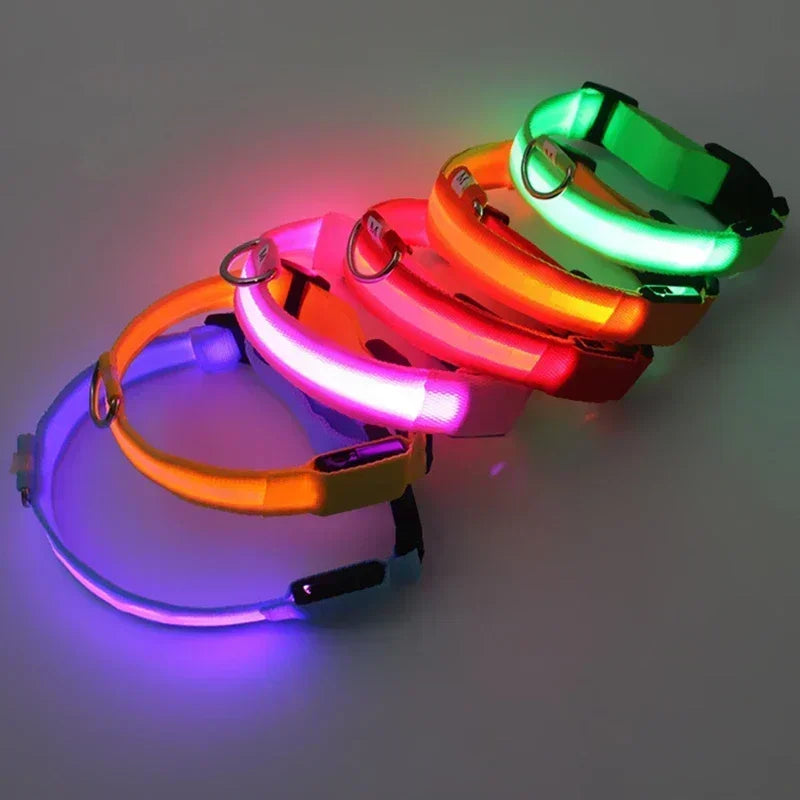 LED Glowing Dog Collar – Adjustable Flashing Rechargeable Light-Up Collar