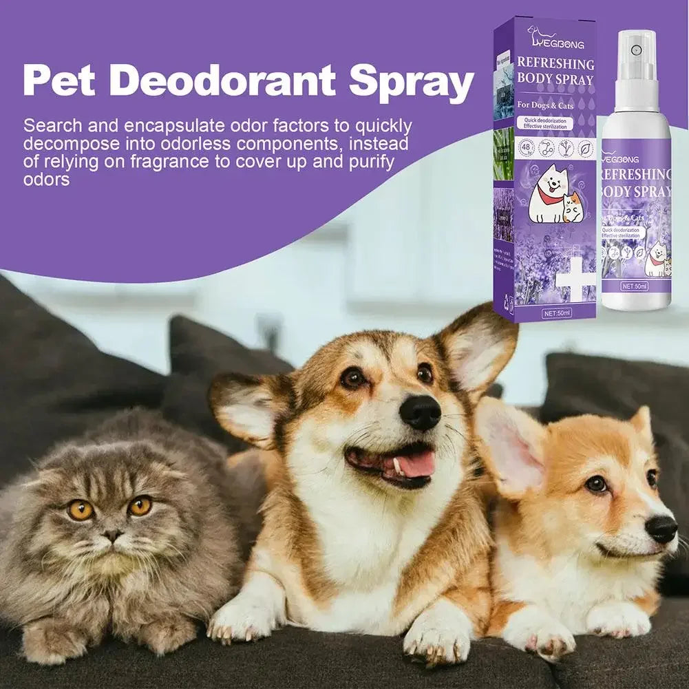 Lavender Dog Deodorizer Spray for Pets