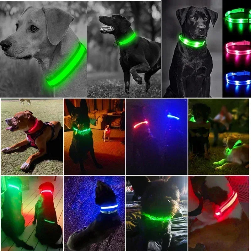 LED Glowing Dog Collar – Adjustable Flashing Rechargeable Light-Up Collar
