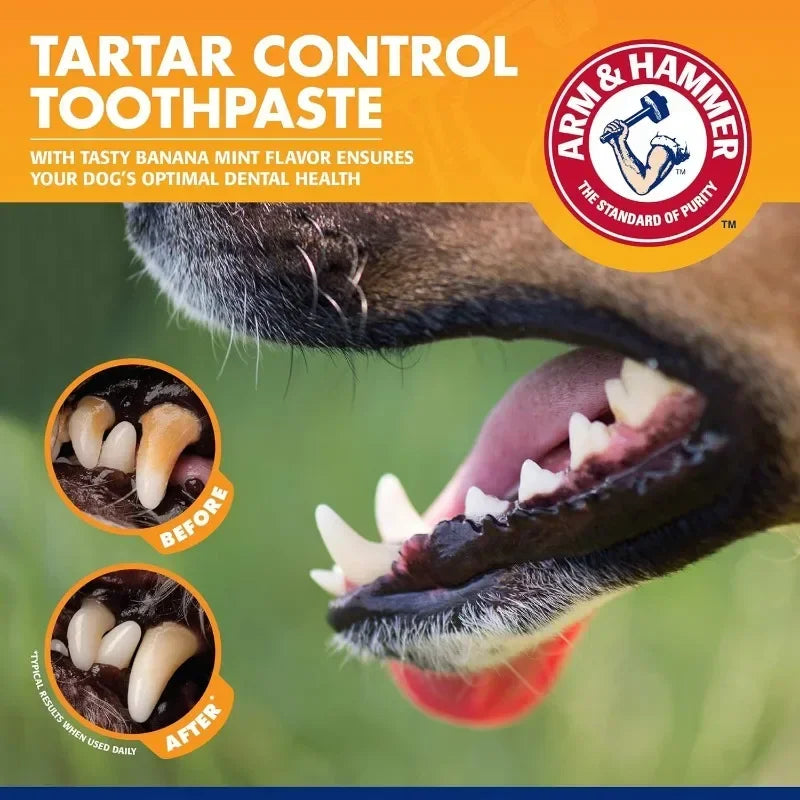 Pet Dental Care Kit with Toothbrush & Toothpaste