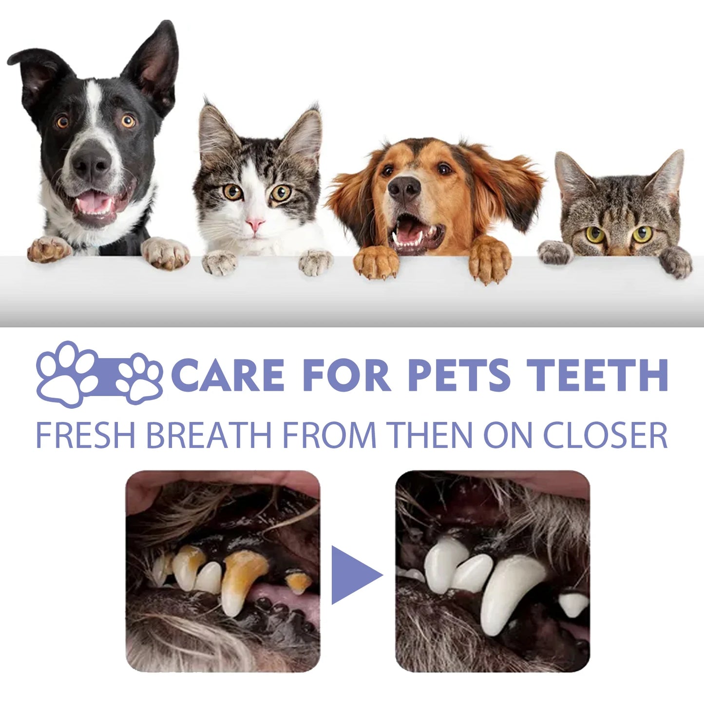 Pet Dental Spray for Dogs & Cats 30ml