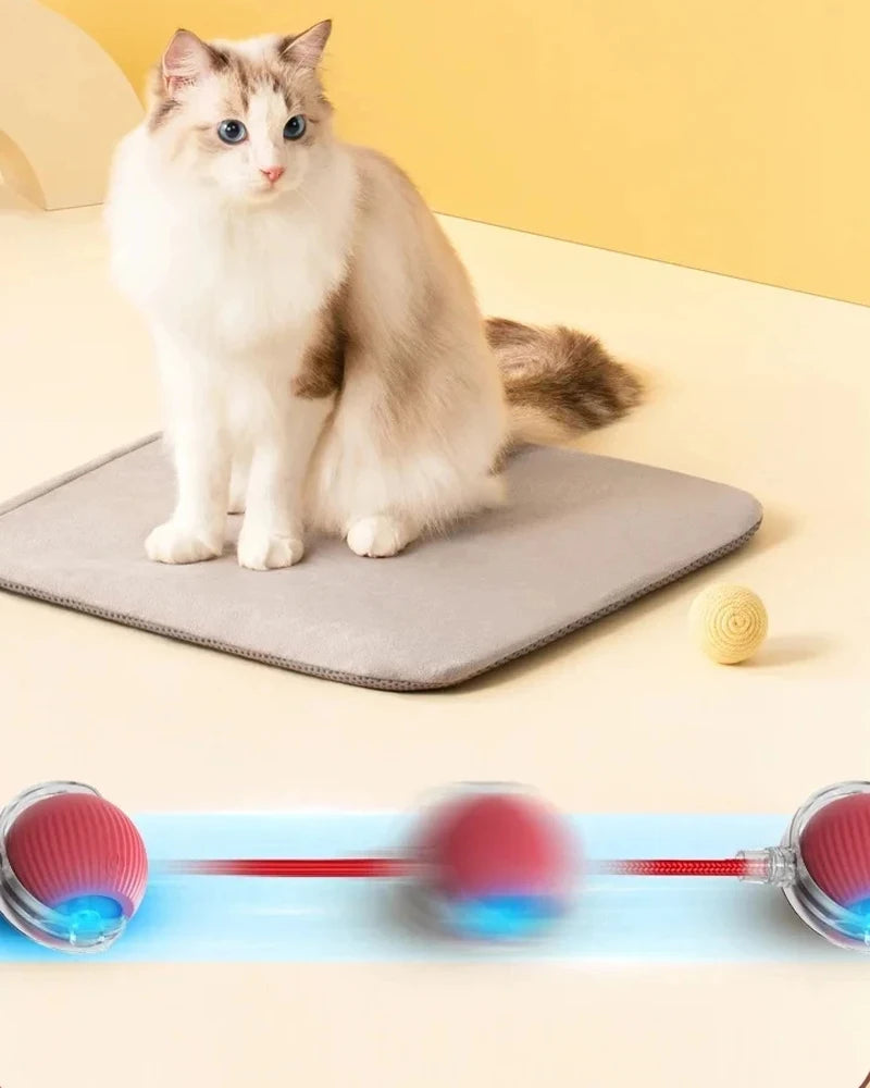 Rechargeable Smart Interactive Cat Ball Toy