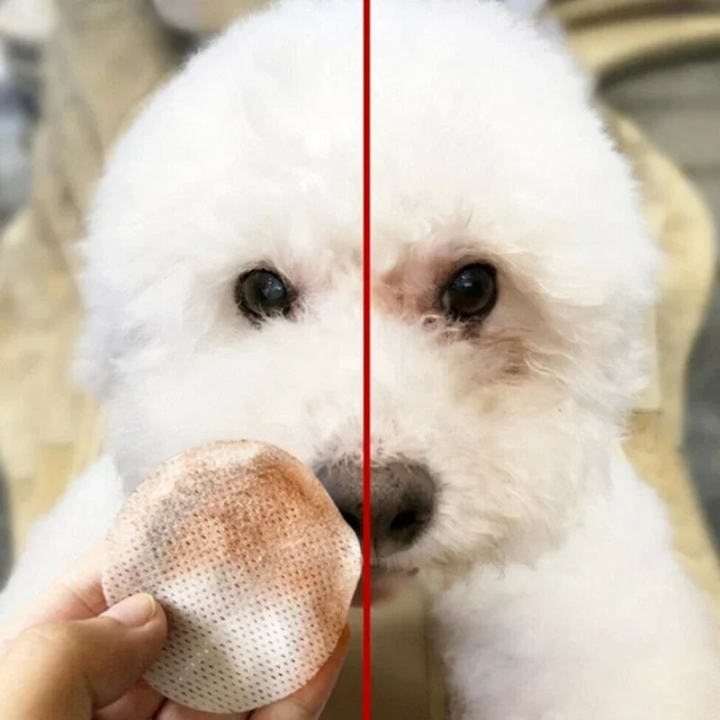 Tear Stain Remover, Grooming Towels