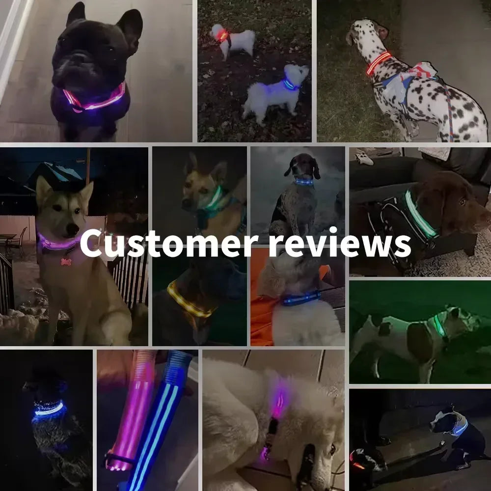 LED Glowing Dog Collar – Adjustable Flashing Rechargeable Light-Up Collar