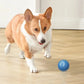 Smart Interactive Dog Toy Ball USB Rechargeable