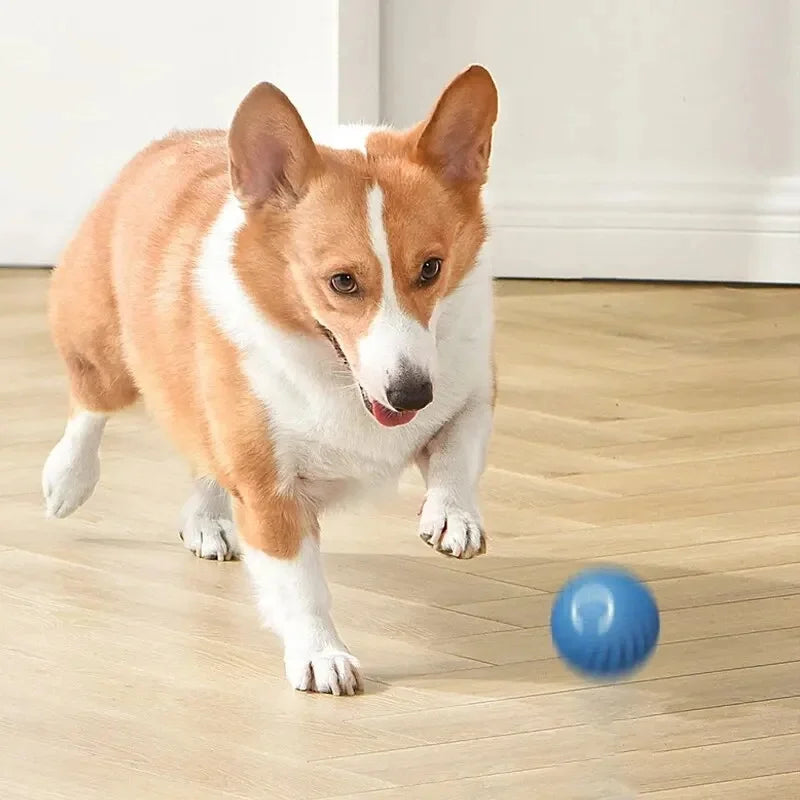 Smart Interactive Dog Toy Ball USB Rechargeable