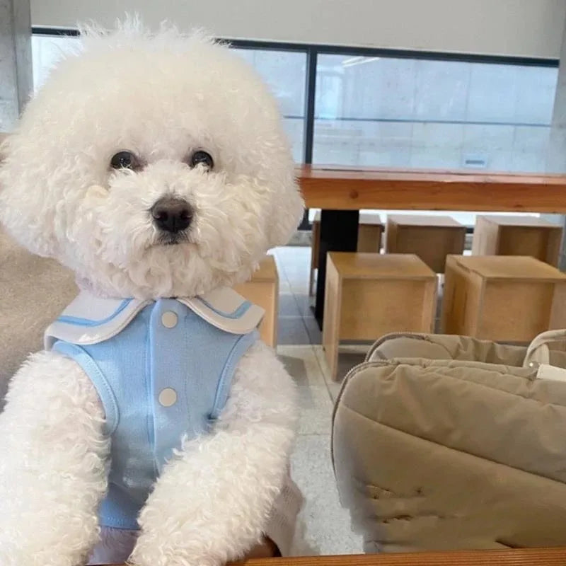 Cute Stripe Polo Dog T-Shirt