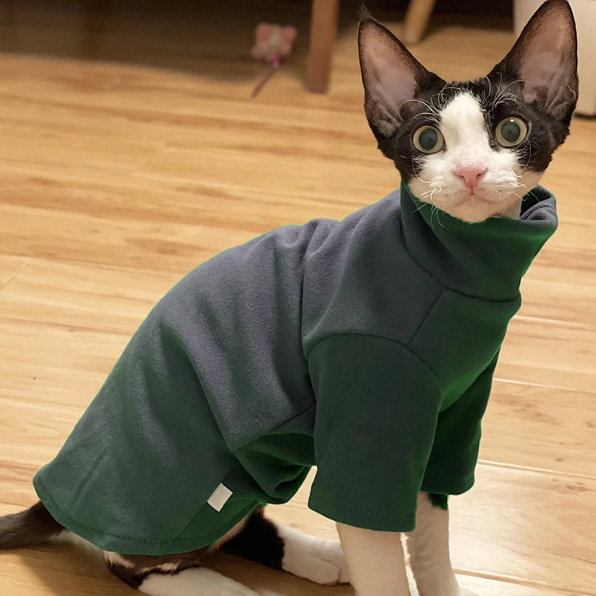 Sphynx Cat Soft Cotton Winter Outfit
