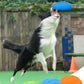 OUZEY Bite-Resistant Dog Flying Disc Toy