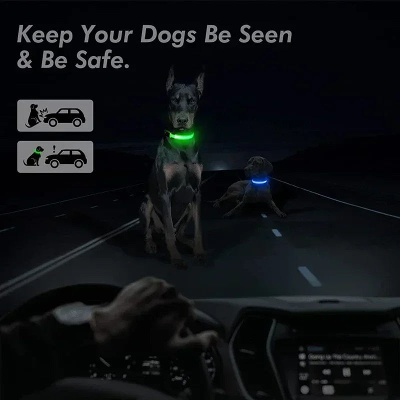LED Glowing Dog Collar – Adjustable Flashing Rechargeable Light-Up Collar