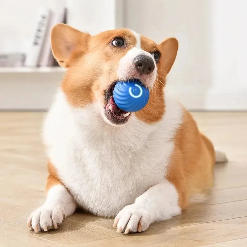 Smart Interactive Dog Toy Ball USB Rechargeable