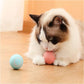 Smart Interactive Dog Toy Ball USB Rechargeable