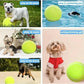 Giant Inflatable Tennis Ball for Dogs with Pump