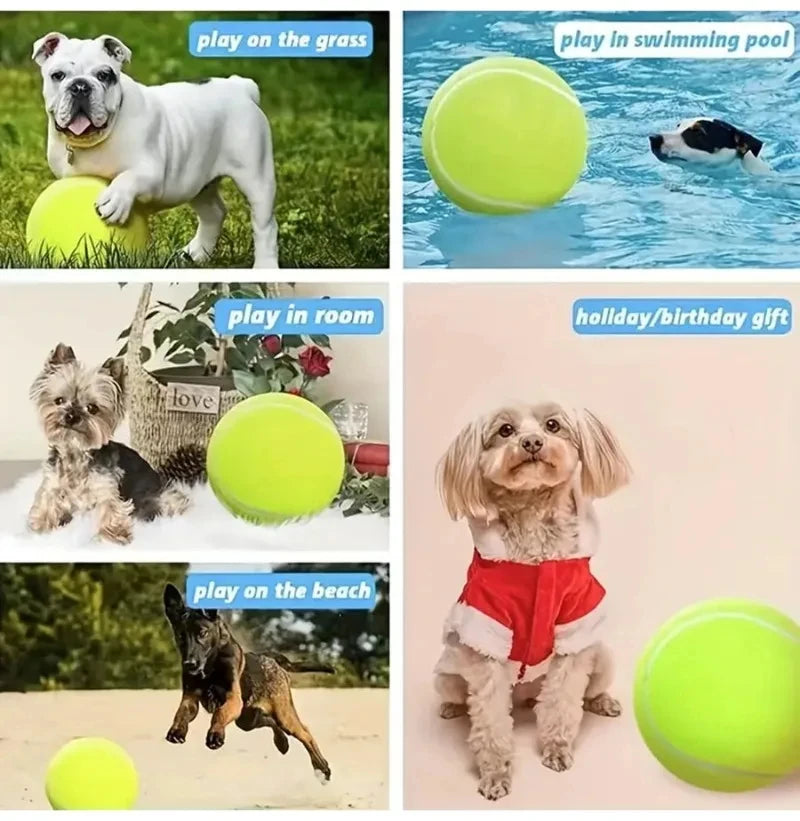Giant Inflatable Tennis Ball for Dogs with Pump
