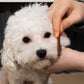 Pet Facial Cleaning Comb for Dogs & Cats