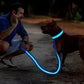 LED Glowing Dog Collar – Adjustable Flashing Rechargeable Light-Up Collar