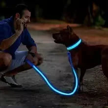 LED Glowing Dog Collar – Adjustable Flashing Rechargeable Light-Up Collar