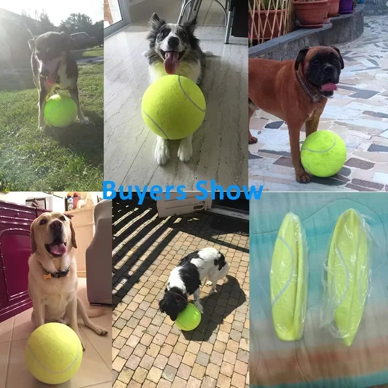 Giant Inflatable Tennis Ball for Dogs with Pump