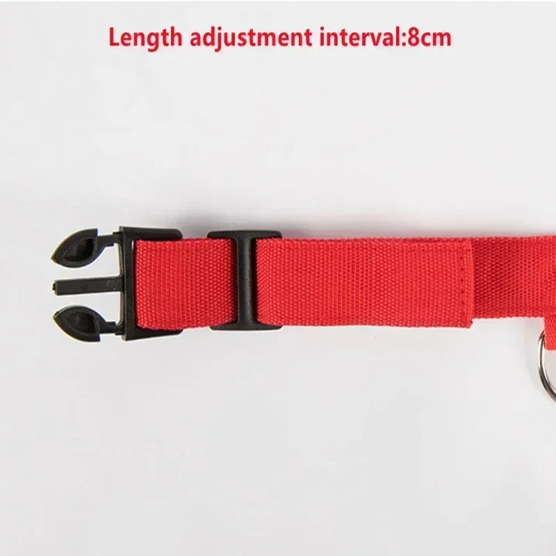 LED Glowing Dog Collar – Adjustable Flashing Rechargeable Light-Up Collar