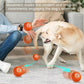 Smart Interactive Dog Toy Ball USB Rechargeable