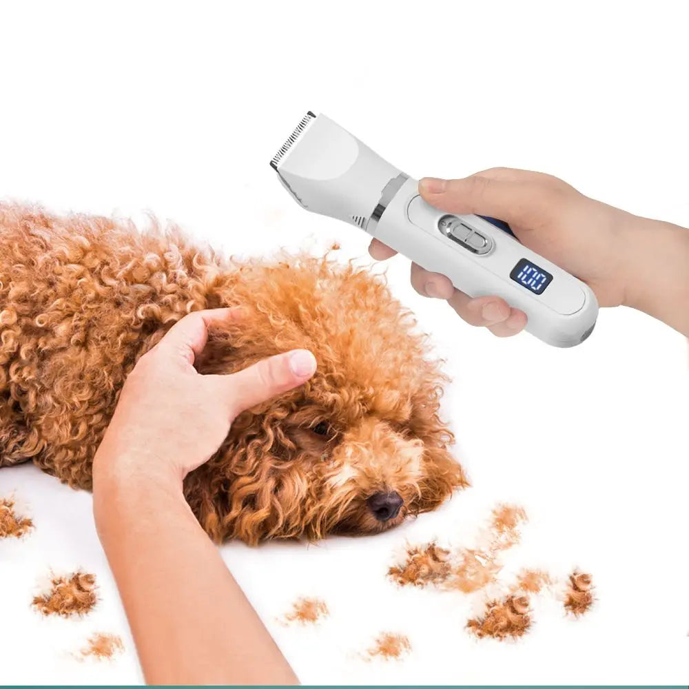 USB Rechargeable Pet Hair Clippers for Dogs & Cats