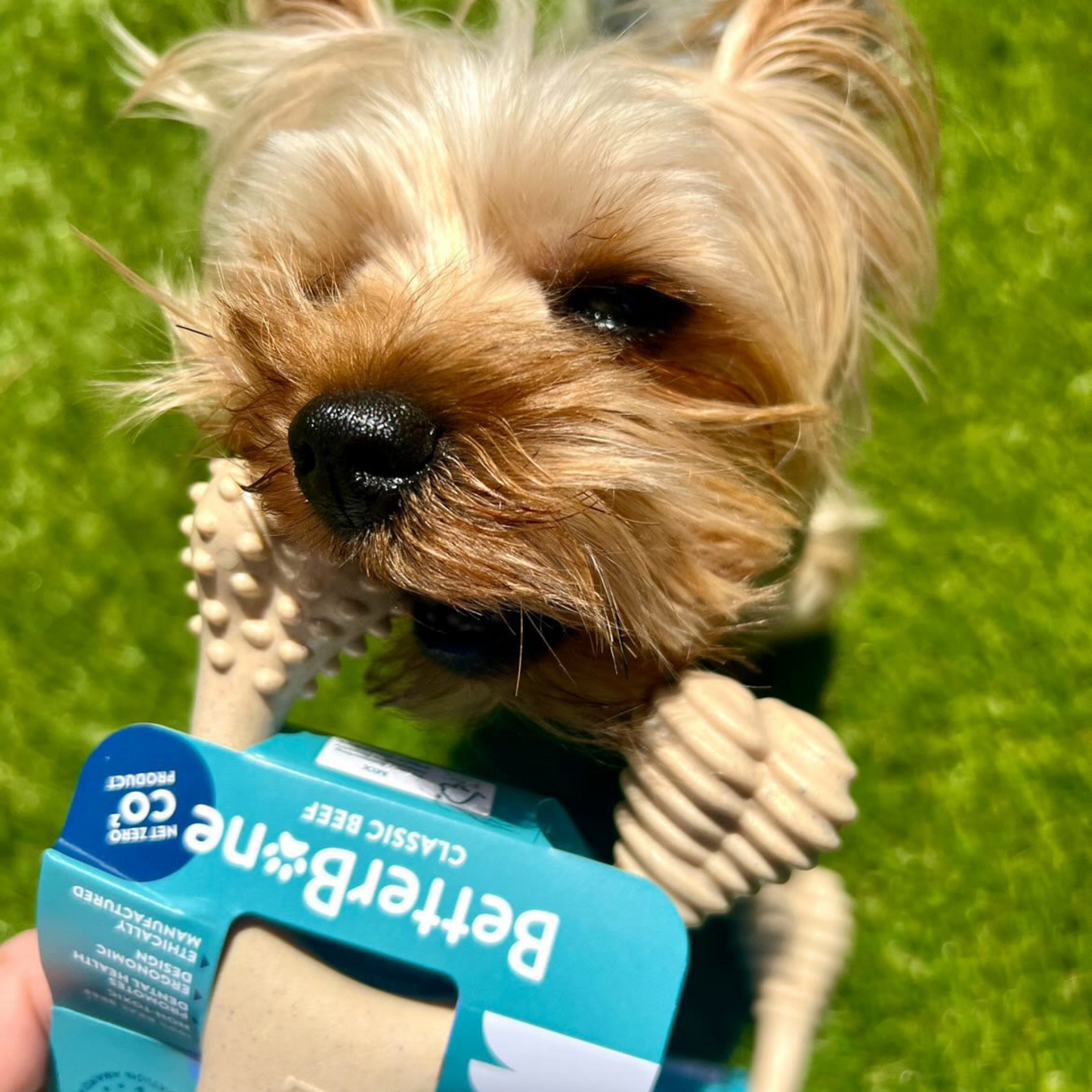 BetterBone SOFT Durability CHEW TOY: Natural Ingredients, Perfect for Teething Puppies, Senior Dogs & Gentle Chewers